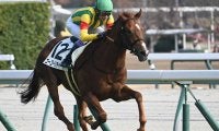 【中京5R新馬戦結果】スワーヴリチャード産駒ゴーゴーリチャードが初陣飾る