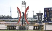 【チャンピオンズカップ】牝馬ダブルハートボンドがG1初制覇！…坂井瑠星騎手は3連覇を達成