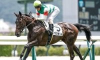 2歳女王決定戦・阪神JFなど3重賞/今週の競馬界の見どころ