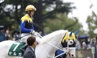 【阪神JF登録馬】白毛馬マルガなど26頭