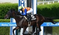 【カペラS想定騎手】テーオーエルビスは鮫島克駿騎手、ガビーズシスターは吉田隼人騎手