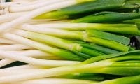 ネギの青い部分と白い部分、栄養の違いとは？