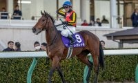 【有馬記念想定】レガレイラ、メイショウタバルなど18頭