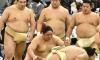巡業初同行の十両・藤青雲、申し合い稽古では元大関の霧島に連勝「番付が上なので、とても自信になる」