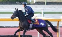 【阪神ＪＦ】良血アランカールは２枠４番　武豊騎手騎乗のマーゴットラヴミーは４枠７番　枠順確定