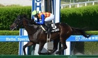 【カペラS枠順確定】テーオーエルビスは2枠4番、ヤマニンチェルキは8枠16番