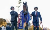 【有馬記念想定馬・騎手】レガレイラ、メイショウタバルなど21頭