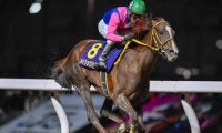 JpnI・4勝のメイショウハリオが登録抹消 今後はイーストスタッドで種牡馬入りへ