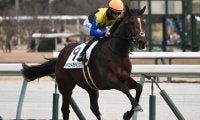 【中京5R新馬戦結果】ディアドラの全弟イベントホライゾンが快勝