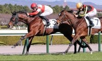 【阪神５Ｒ・２歳新馬】ダノンハドソンが一気のまくりで押し切る　Ｃデムーロ騎手「余裕があったと思います」