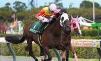 シリウスS連覇のハギノアレグリアスが登録抹消 阪神競馬場で乗馬に