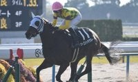 【阪神JF予想】前走で積極的な競馬をしている馬は割引!? デビュー2戦での経験がアダになりそうな人気馬とは