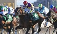 【カペラS予想】スピードや馬力に勝る牡馬、セン馬に良績集中！ 牝馬は前走の結果が好走の鍵を握る