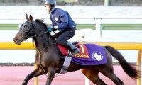 【阪神ＪＦ】単勝１番人気はアランカールの２・７倍　アルバンヌが４・８倍で追う　前日最終オッズ　