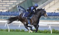 【香港国際競走】引退レースのソウルラッシュ、香港で有終の美なるか…JRA勢が自信の最終調整