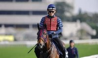 【香港マイル】二冠牝馬エンブロイダリーは10番ゲートから
