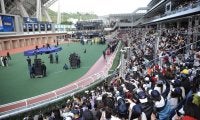【香港スプリント】強すぎる！世界最強スプリンター・カーインライジングが16連勝