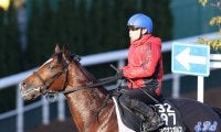 【ホープフルステークス】札幌２歳Ｓの覇者ショウナンガルフ、京都２歳Ｓを勝ったジャスティンビスタなど１９頭が登録