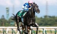 2歳マイル王決定戦・朝日杯FSとターコイズS/今週の競馬界の見どころ