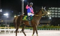 【先週のJRA抹消馬】JpnI・4勝のメイショウハリオ、22年ホープフルS覇者ドゥラエレーデなど