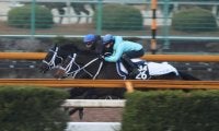 最終追い切りの動きにも注目 ダノンテムズが日曜阪神で初陣/関西馬メイクデビュー情報