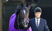 【注目馬動向】５・９億円馬エムズビギンはきさらぎ賞で重賞初挑戦へ　新馬ＶのアドマイヤシュラはエルフィンＳ