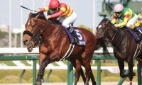 「爆弾を抱えたままこれ以上…」G1馬べラジオオペラ引退の背景にファン驚愕　「1つ間違えば」「これからはゆっくり穏やかに」