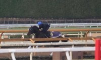ミュージアムマイル、有馬記念1週前追い切り速報/栗東トレセンニュース