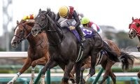【阪神C想定】ルガルやナムラクレアなど14頭