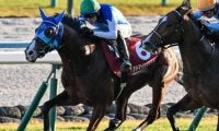 【朝日杯FS】リアルスティール産駒のJRA・GI初制覇なるか アドマイヤクワッズが無敗戴冠狙う