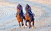 【有馬記念１週前】連覇狙うレガレイラがラスト１１秒３　陣営「あとは週末、来週で良い変化があれば」