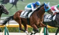 【朝日杯FS・調教後馬体重】アドマイヤクワッズは474kg、リアライズシリウスは532kg