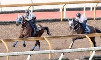 【有馬記念１週前】春秋グランプリ連覇へメイショウタバルが好時計　石橋調教師「１週前としてはいい内容」