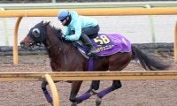 【ホープフルＳ１週前】初戦５馬身差Ｖのラヴェニューはアドマイヤテラに先着　友道調教師「１週前としてはこれ以上ない」