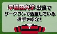 早稲田大学出身で、リーグワンで活躍している選手を紹介！