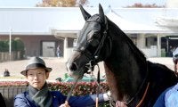 【朝日杯ＦＳ】スペルーチェを送り出す宮田敬介調教師　厩舎の２歳馬のなかでも「仕上がりの早さは一枚上」