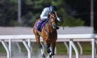 GII/JpnII・2勝のウィリアムバローズが登録抹消 今後は浦和競馬に移籍予定