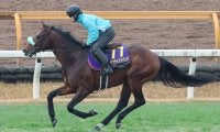 【注目馬動向】サンライズジパングは鮫島克駿騎手で有馬記念へ　２４年みやこＳを勝って以来の２度目のコンビ結成