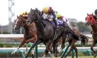 【阪神C想定馬・騎手】ルガル、ナムラクレアなど17頭