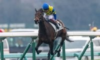 【新馬/中山6R】4億円ホースは4着敗退…伏兵リュクスパトロールが逃げ切る