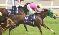 母はオークス馬のヌーヴォレコルト トリニティがC.ルメール騎手で新馬勝ち狙う