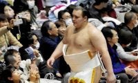 安青錦　今年のＸマスは「部屋」ウクライナには帰省せず　土俵入りでの大歓声に「期待にしっかり応えられるように」