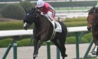 【阪神5R新馬戦結果】トリニティが押し切り新馬勝ち 母はオークス馬ヌーヴォレコルト