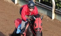 【兵庫ＧＴ】一昨年の覇者サンライズホークは７枠９番　３歳馬マテンロウコマンドは大外枠に決まる