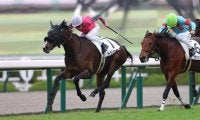 【新馬/阪神5R】良血トリニティが快勝…母はヌーヴォレコルト