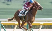 「ウマ娘」の藤田晋オーナーが有馬記念でJRA・GI初制覇なるか これまで挑戦した馬たちは