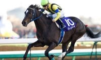 ディープインパクト唯一の国内敗戦 ハーツクライが制した20年前の有馬記念