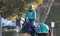 【ホープフルＳ・坂本の特注馬】もともと素材の良さを評価されていたオルフセン　タフな競馬の経験値が生きる