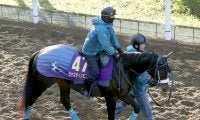 【ホープフルＳ】ジャスティンビスタで吉岡厩舎が２歳Ｇ１連勝へ　陣営「どんな競馬でもできそう」