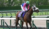 【有馬記念の過去10年データ】中山の直線は短い 脚質のセオリーは逃げ・先行馬